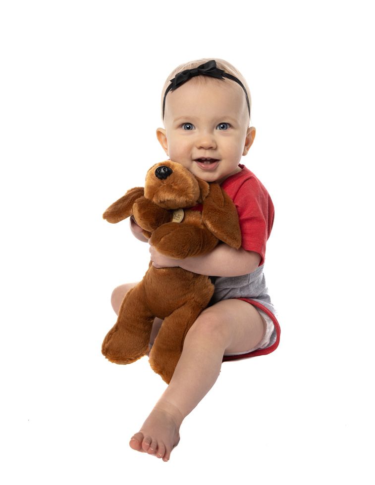 Ole Red Bloodhound Plush - KIDS TOYS