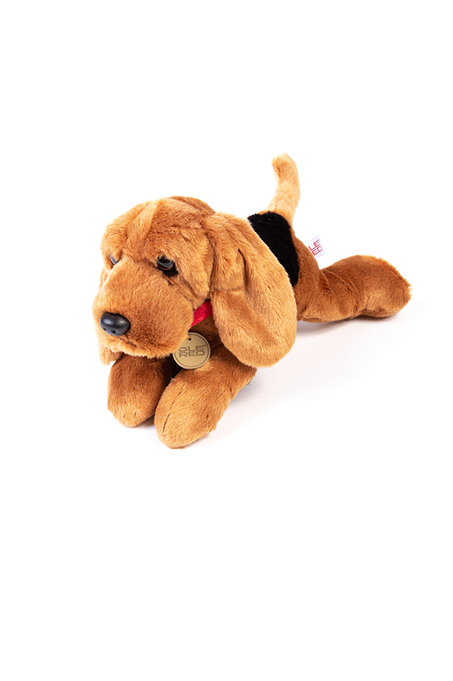 Ole Red Bloodhound Plush - KIDS TOYS