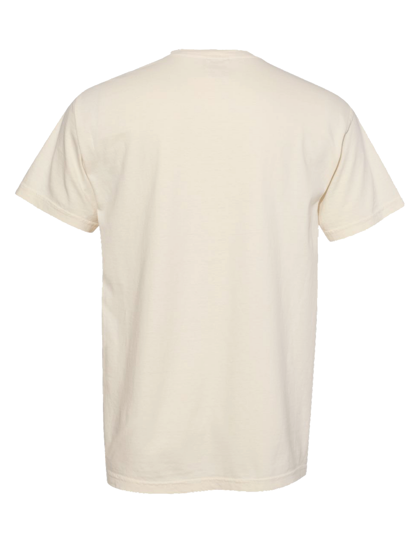 Opry 100 Heritage Poster T-Shirt - S/S