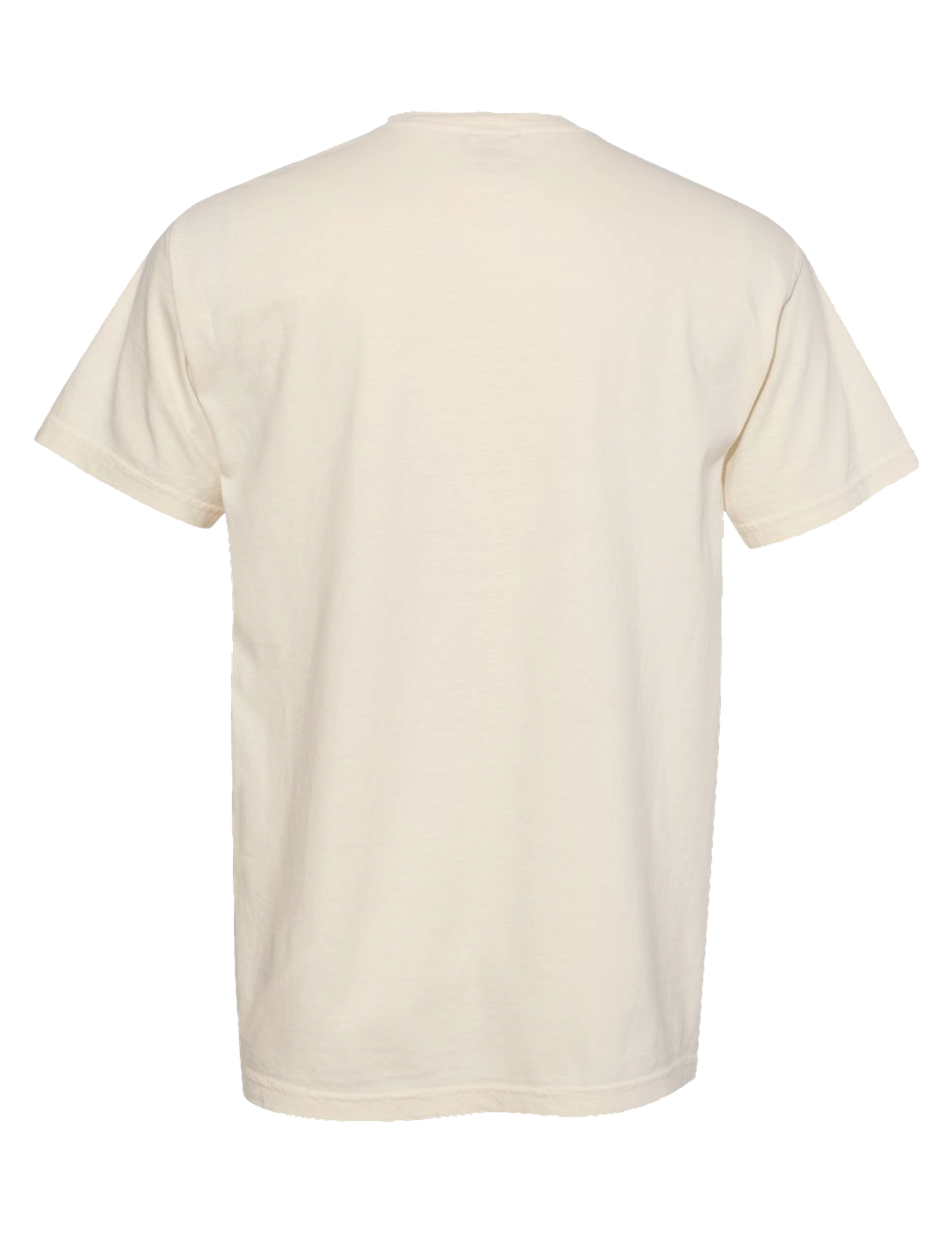 Opry 100 Heritage Poster T-Shirt - S/S