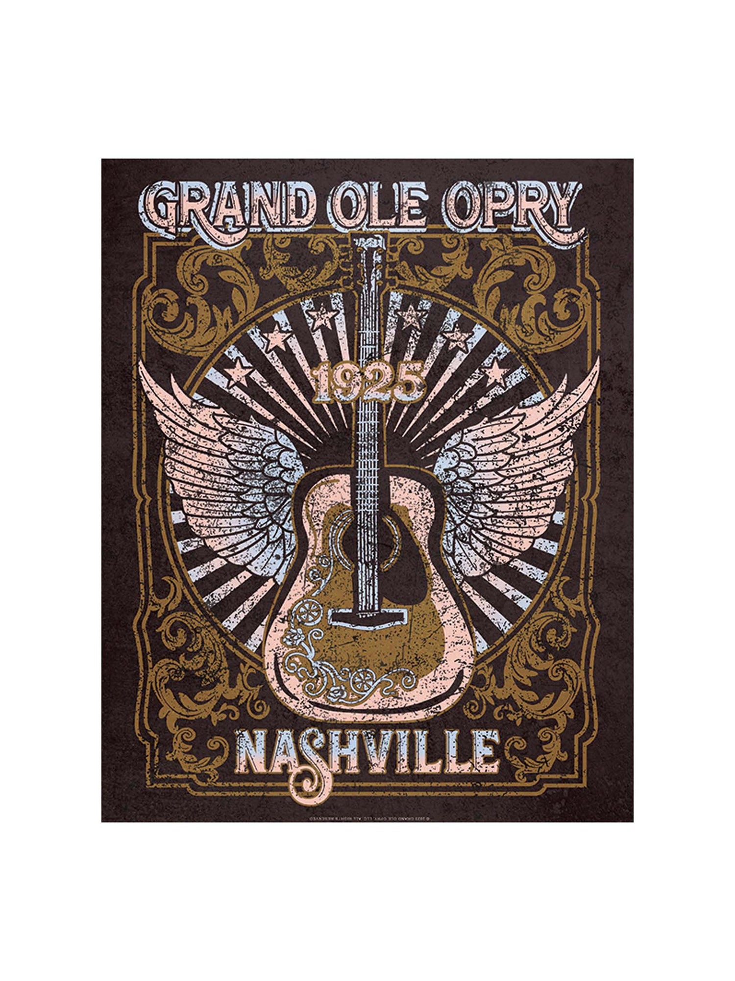 Opry Guitar Metal Sign