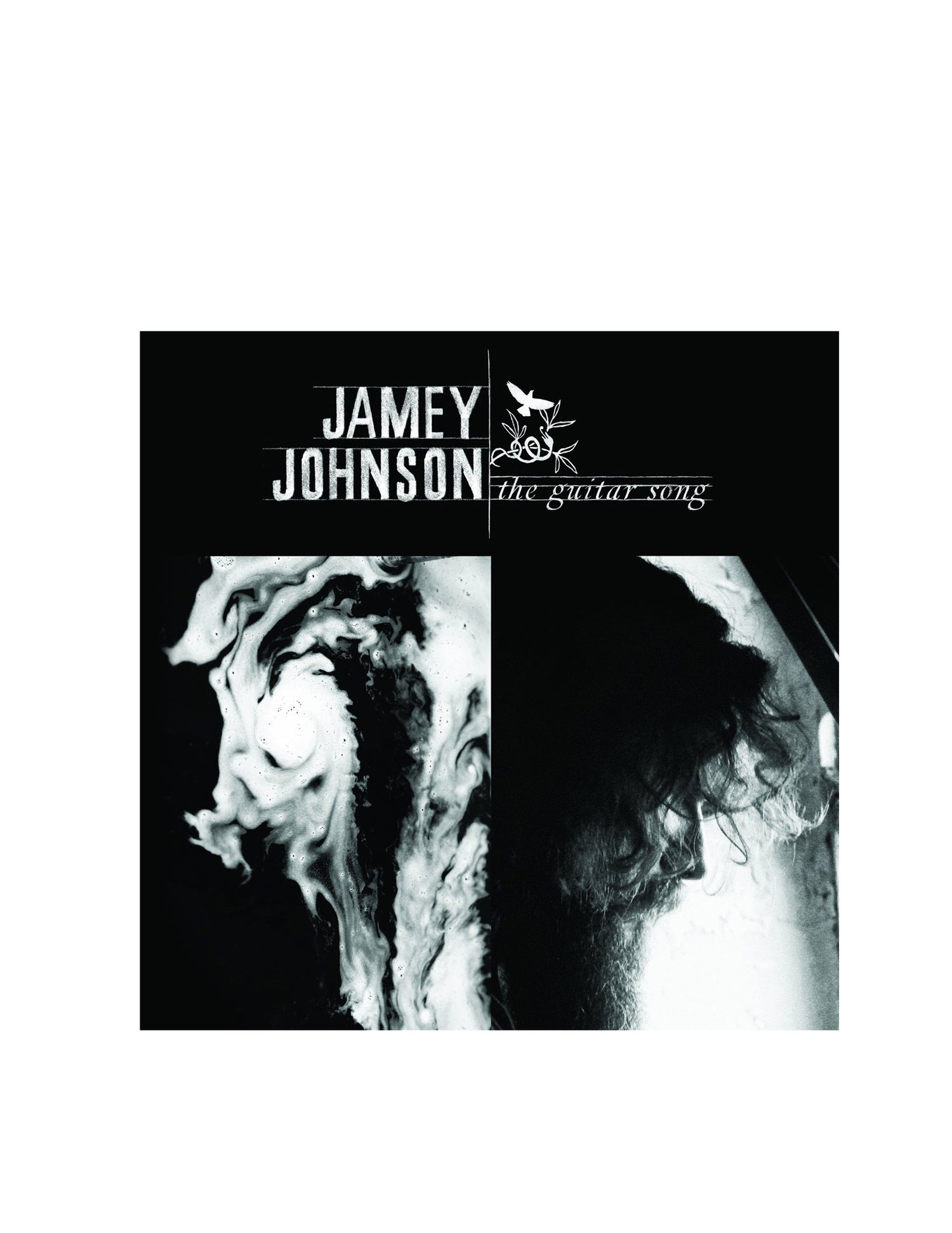Jamey Johnson: The Guitar Song (LP)