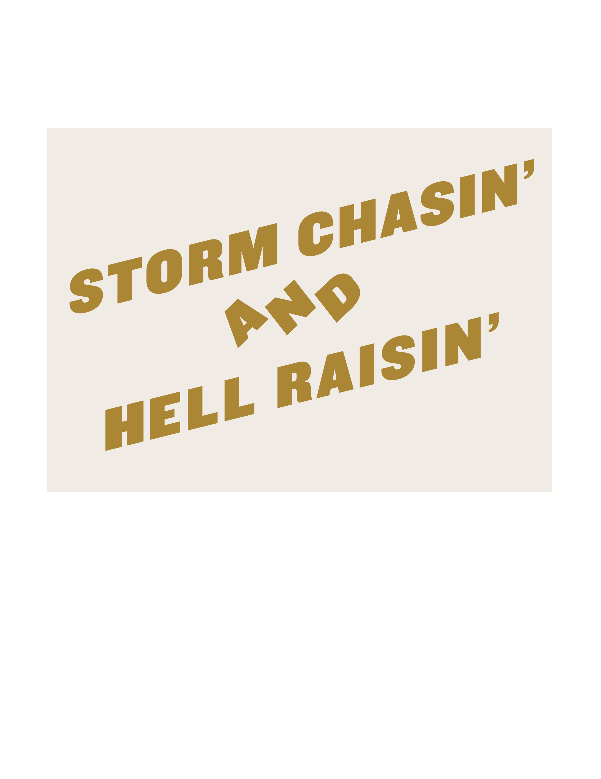 Category 10 Nashville Storm Chasin T-Shirt