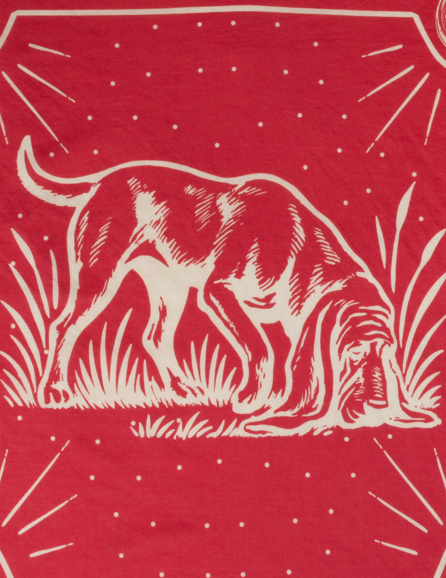 In Ole Red We Trust Bandana - BANDANA