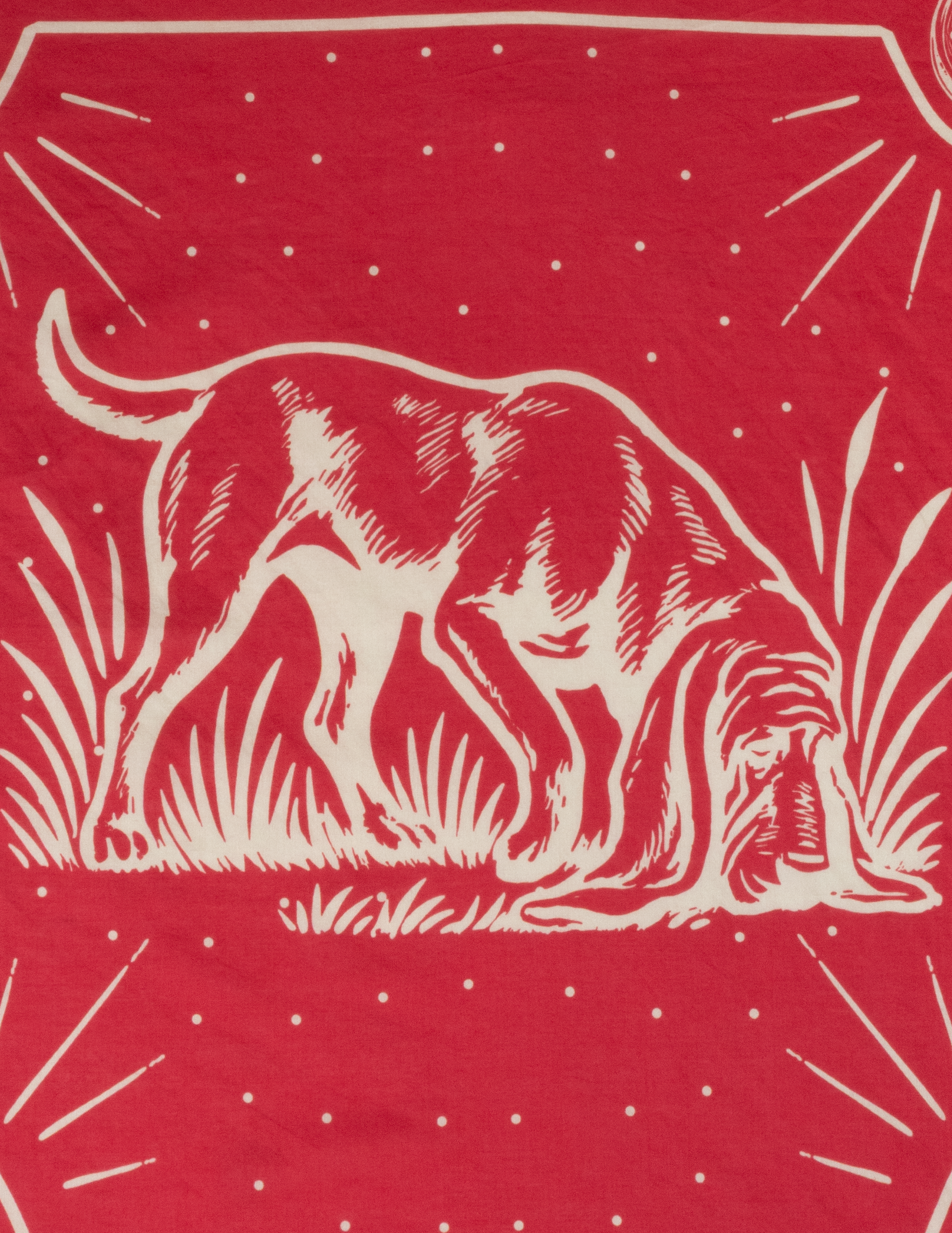 In Ole Red We Trust Bandana - BANDANA