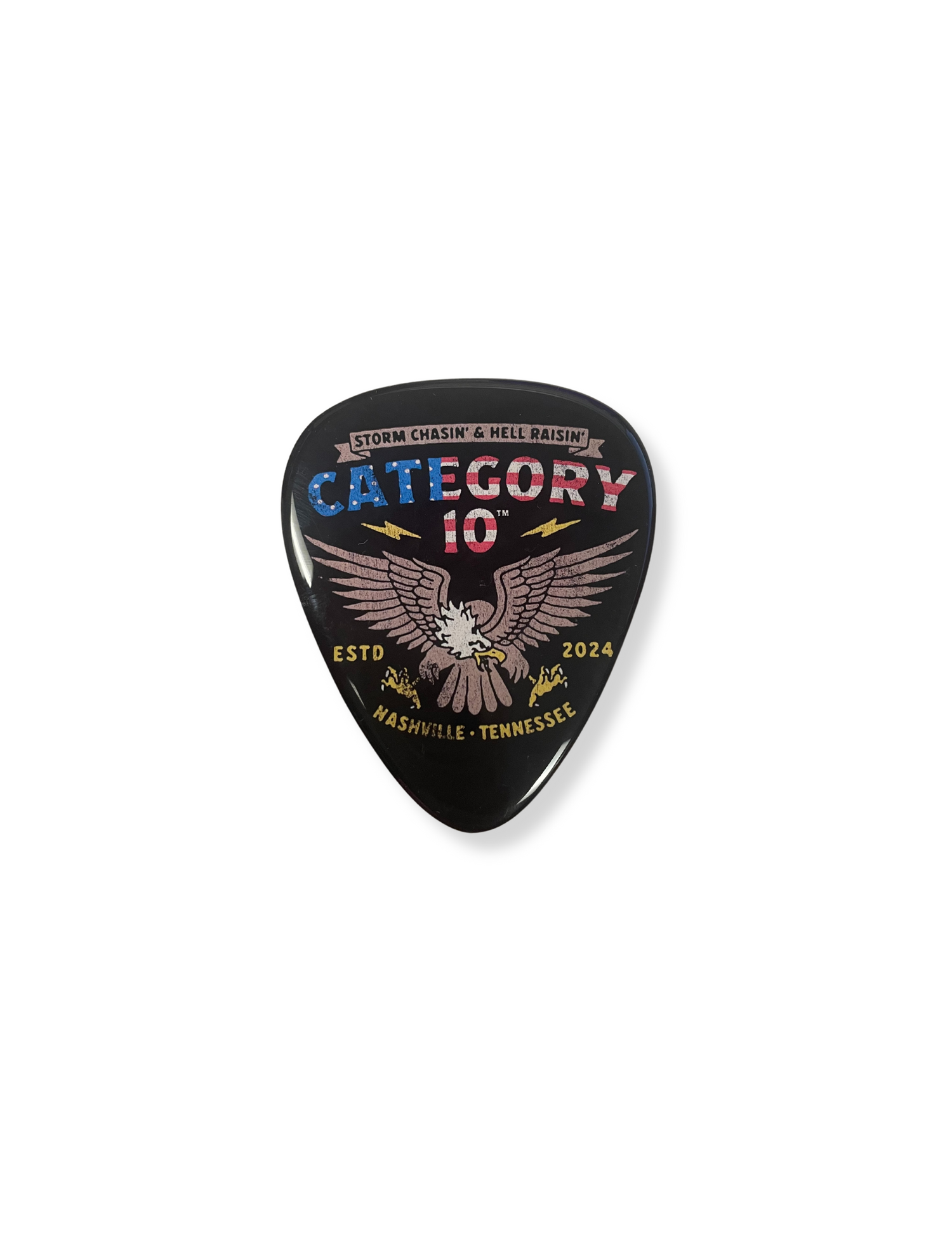 Category 10 Eagle Guitar Pick Magnet