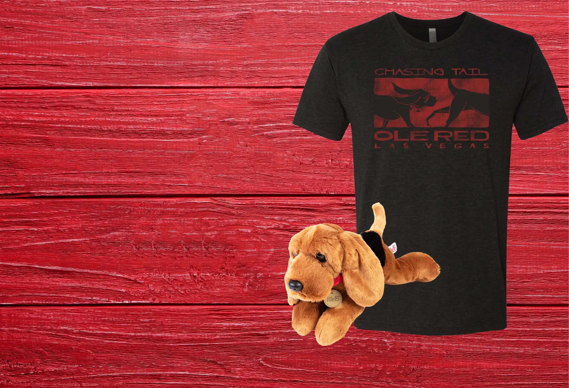 A black graphic t-shirt and a brown plush dog toy.