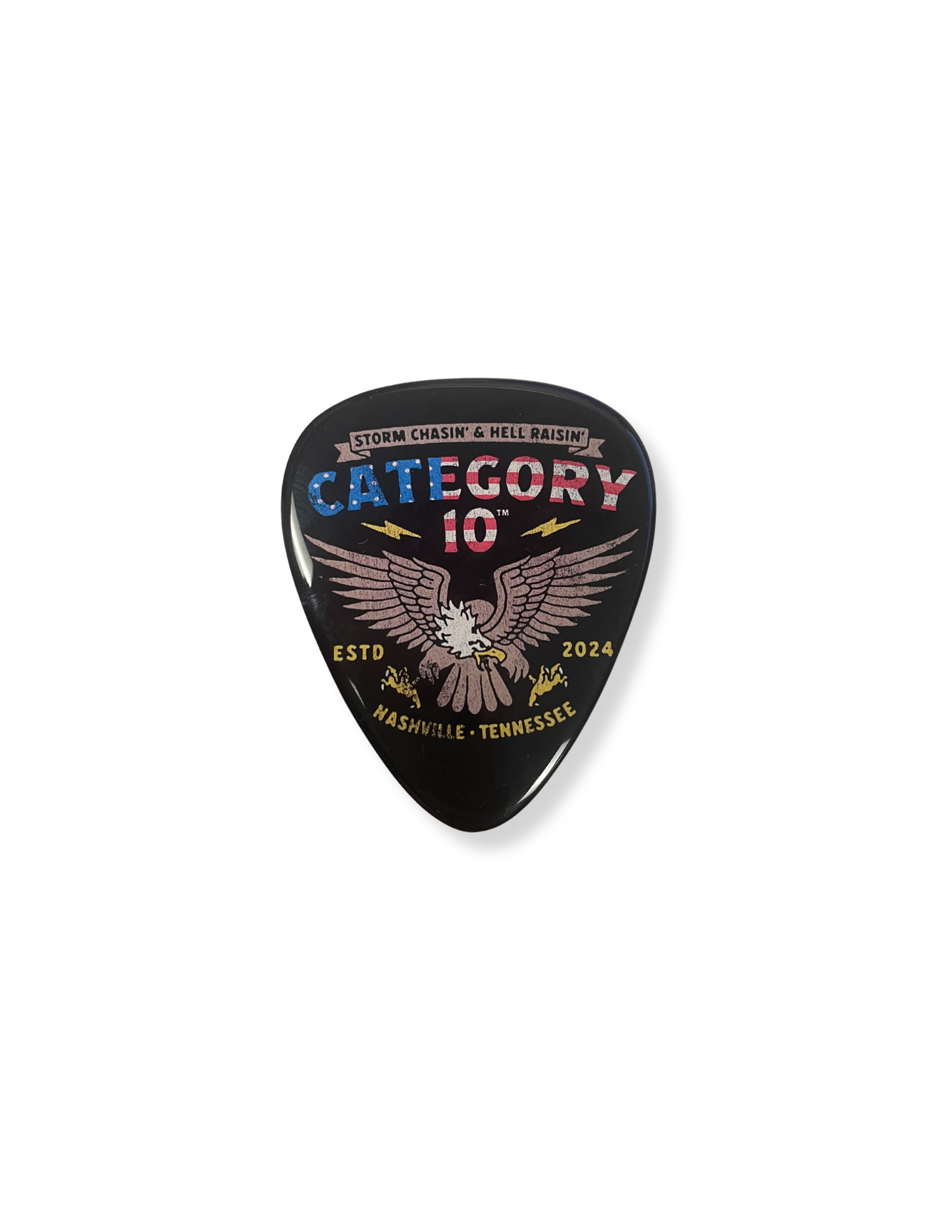 Category 10 Eagle Guitar Pick Magnet - SOUVENIRS
