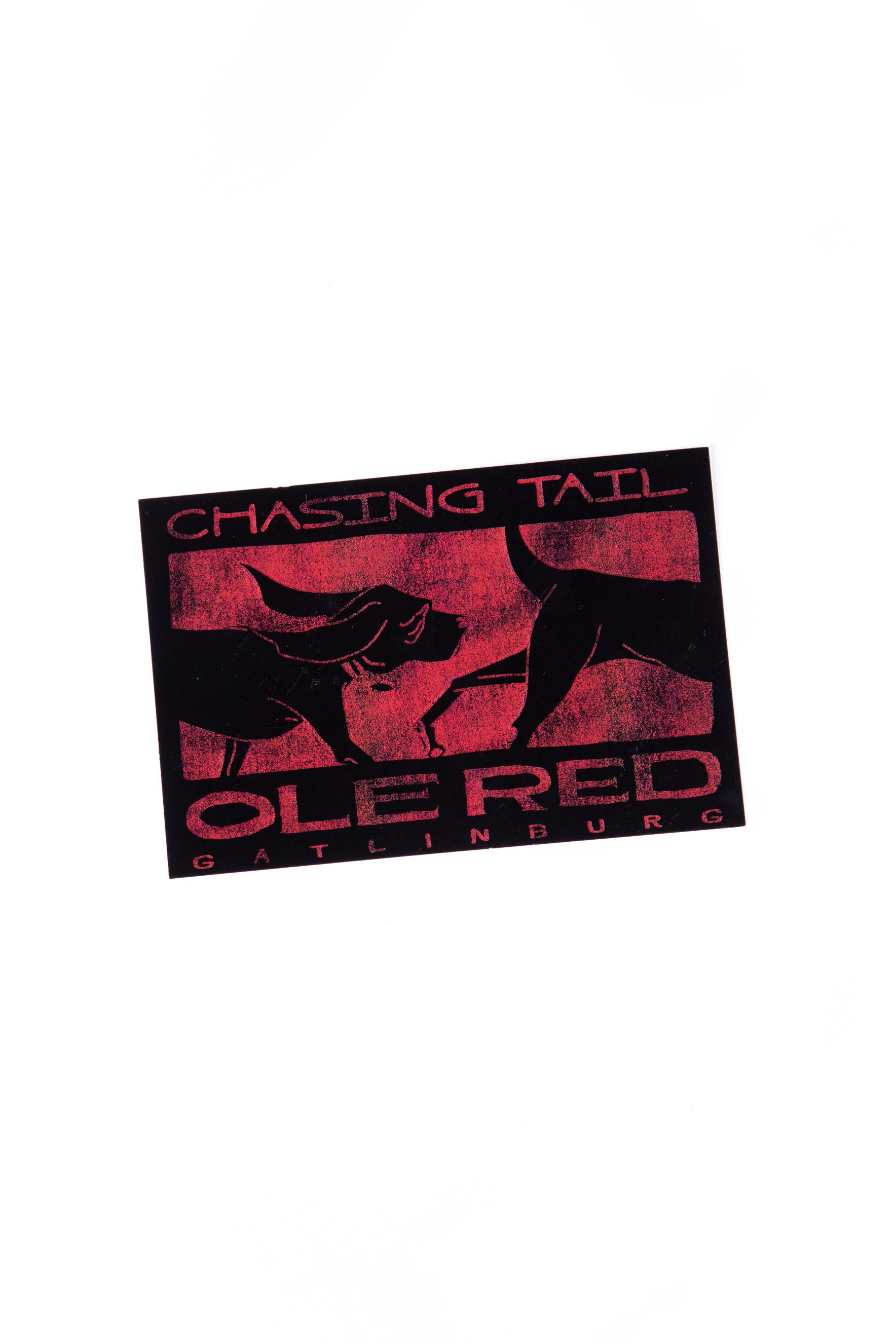 Ole Red Gatlinburg Chasin' Tail Postcard